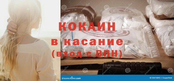 дживик Алексин