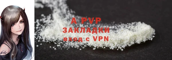 твердый Алзамай