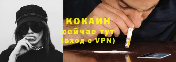 твердый Алзамай