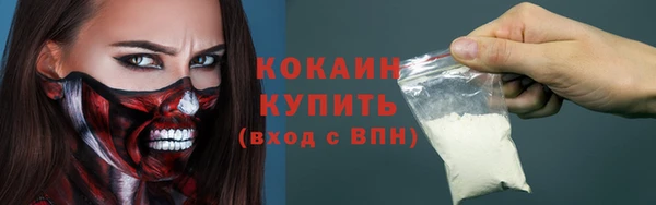твердый Алзамай