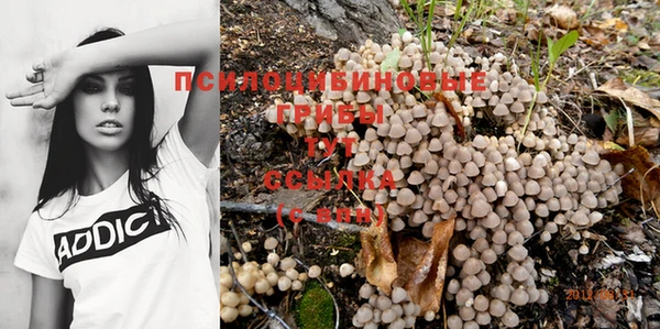 гидропоника Алексеевка