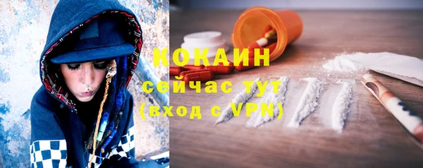 твердый Алзамай